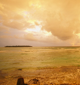 Tropical Beach Tropical Beach